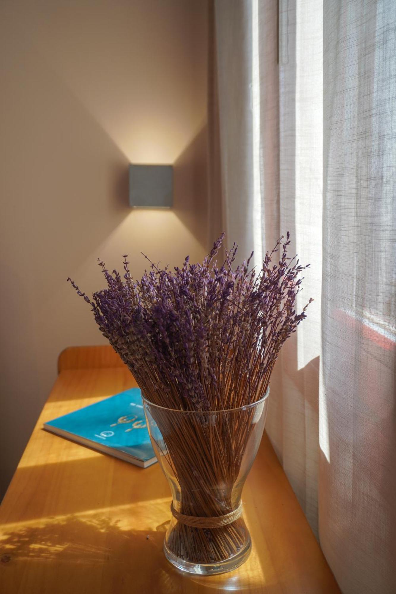 Arodou Studio And Apartment Mykonos Town Zewnętrze zdjęcie